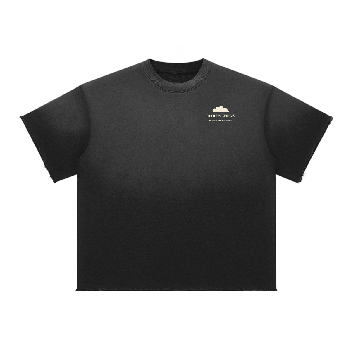 CloudyWingz,HouseofClouds,Tee,Streetwear,Fashion,Merch,Model,HipHop,Street,Exclusive,VIP,Private