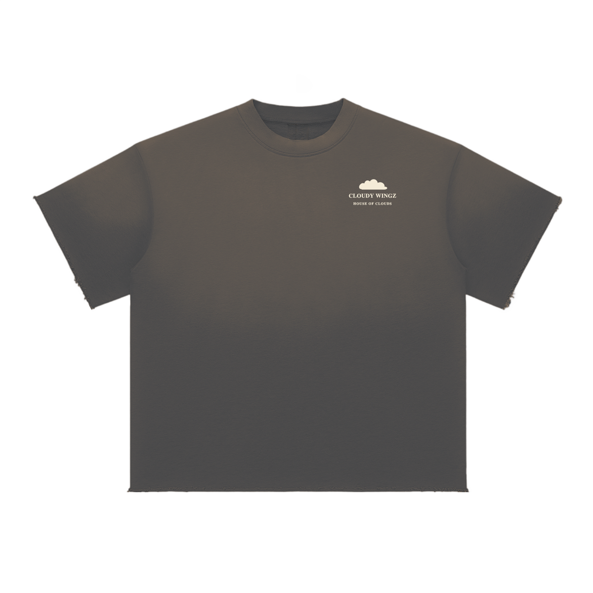 CloudyWingz,HouseofClouds,Tee,Streetwear,Fashion,Merch,Model,HipHop,Street,Exclusive,VIP,Private