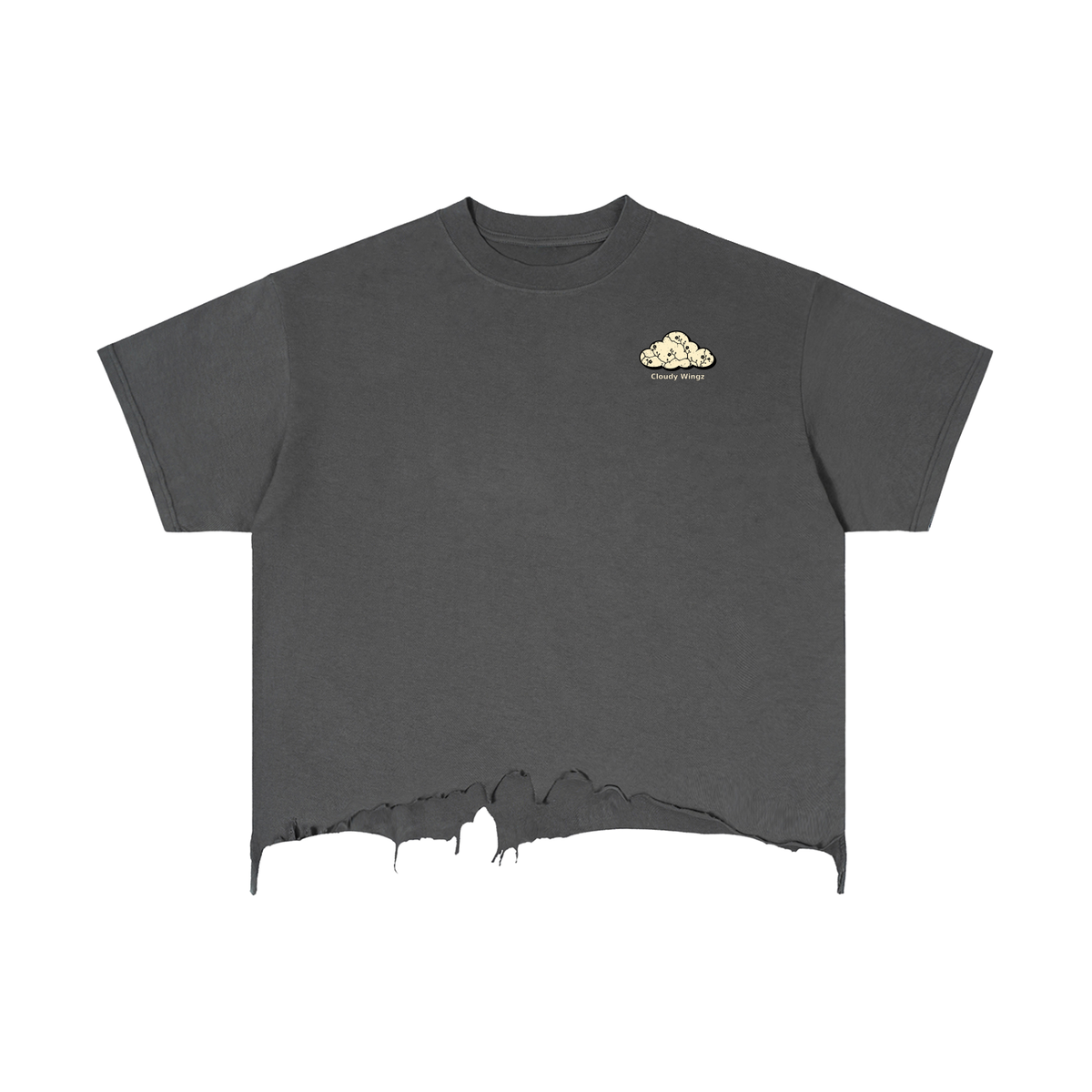 CloudyWingz,Distressed,HouseofClouds,Tee,Streetwear,Style,fashion,Grunge,Swag,hiphop,Skateboarding,custom,rugged,fashiondesigner,fashionweek,merch,apparel