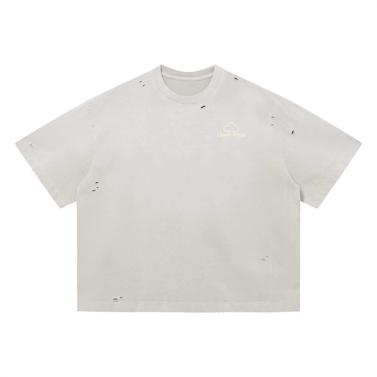 houseofclouds,cloudywingz,streetwear,apparel,tee,tshirt,style,swag,wellconnected,wellrespected,fashion