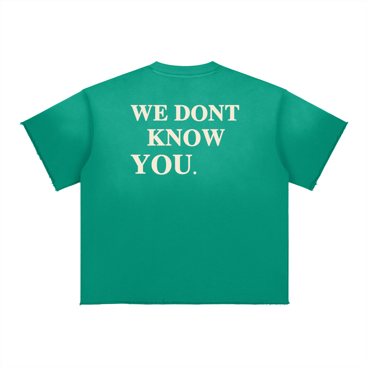 CloudyWingz,HouseofClouds,Tee,Streetwear,Fashion,Merch,Model,HipHop,Street,Exclusive,VIP,Private