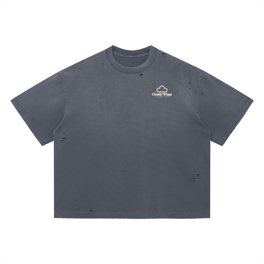 houseofclouds,cloudywingz,streetwear,apparel,tee,tshirt,style,swag,wellconnected,wellrespected,fashion
