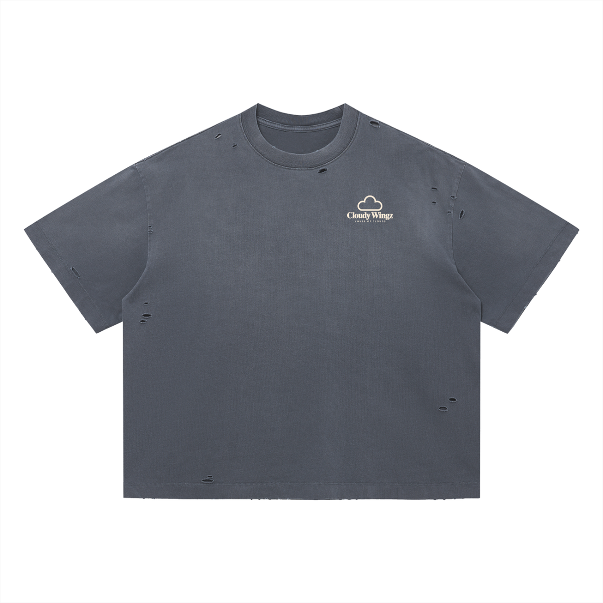 houseofclouds,cloudywingz,streetwear,apparel,tee,tshirt,style,swag,wellconnected,wellrespected,fashion
